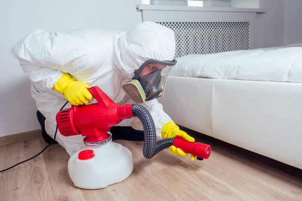 Best Local Pest Control Services  in Woodson Terrace, MO