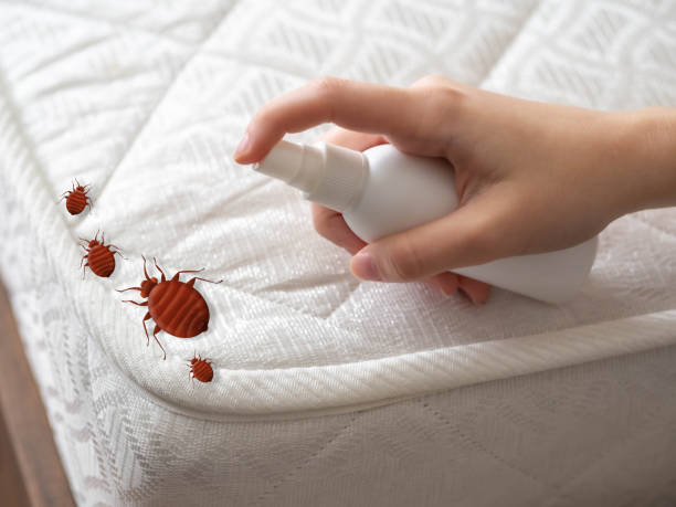 Best Flea Control Services  in Woodson Terrace, MO